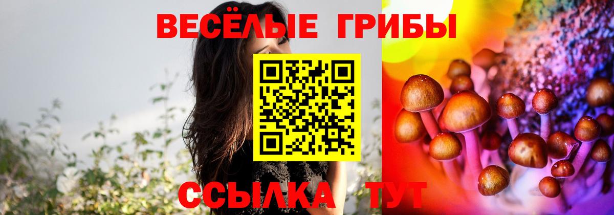 Псилоцибиновые грибы ЛСД Гулькевичи